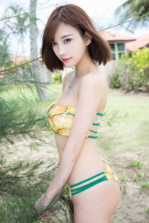 西游记张纪中版全集在线观看_高清动漫免费观看